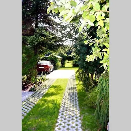 Wilanowek ギジツコ